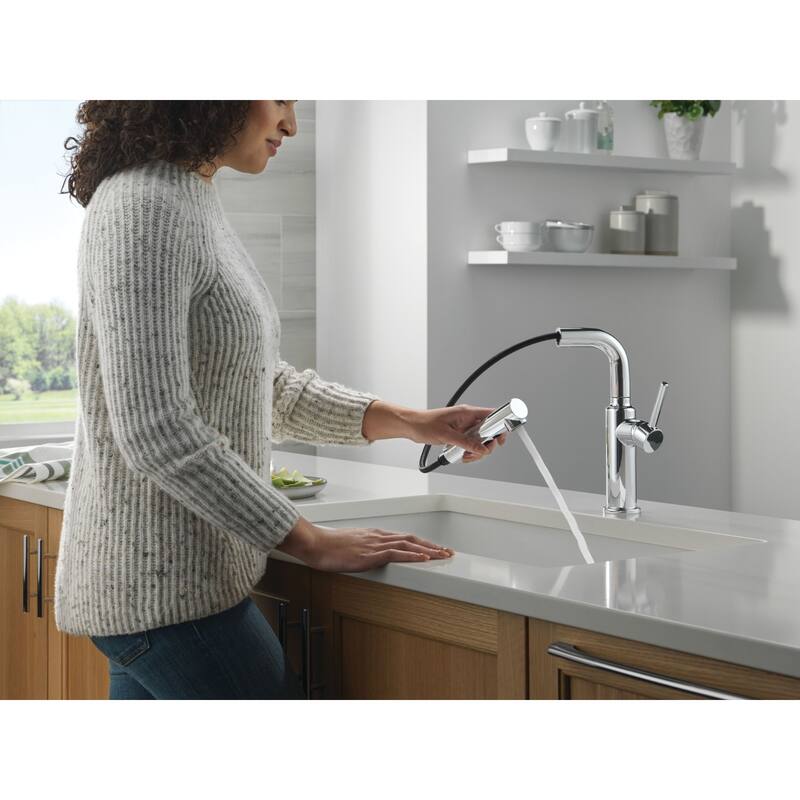 Delta 16879-DST Daneri 1.8 GPM Single Handle Pull Out Kitchen Faucet