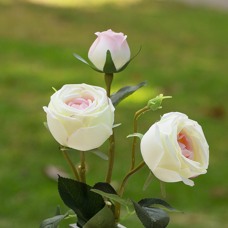 Enova Home Artificial Silk Rose Flower in Clear Glass Vase Faux Rose Flower with Vase For Home Office Decoration - N/A