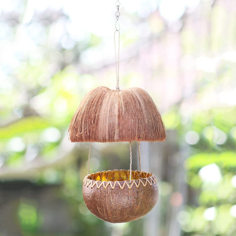 Novica Handmade Forest Hut Coconut Shell Bird Feeder