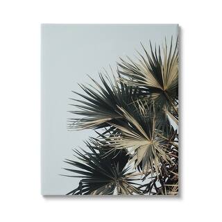 Stupell Palm Plant Leaves Blue Sky Canvas Wall Art by Krista Broadway ...