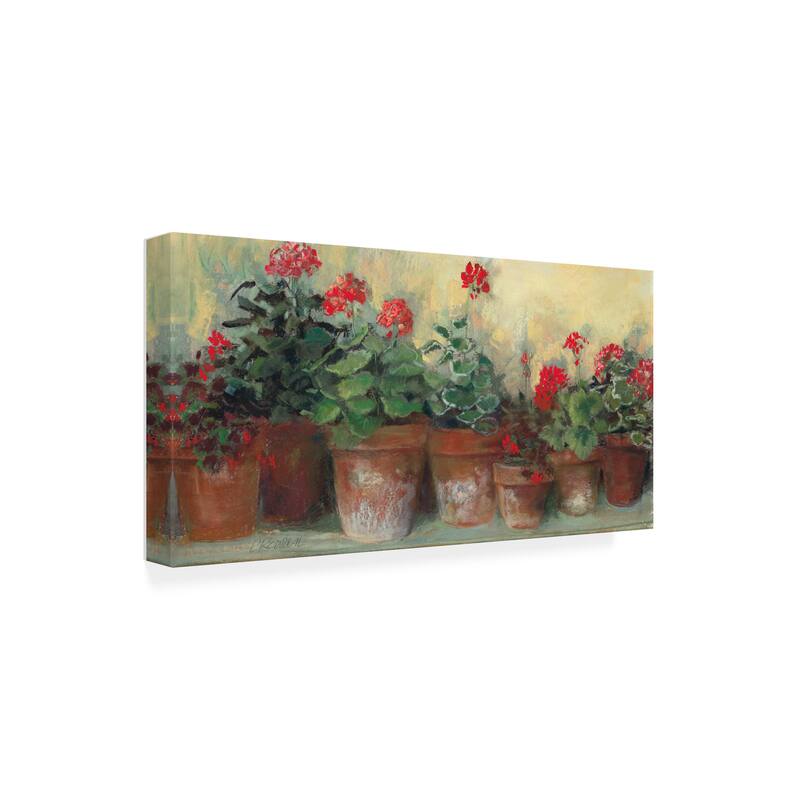 Carol Rowan 'Kathleens Geraniums' Canvas Art