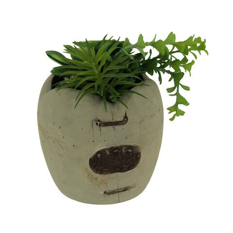 Artificial Succulents In Rustic Apple Shaped Wood Planter - 6.5 X 5 X 5 inches
