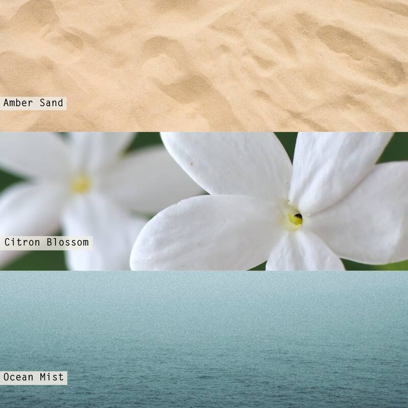 ILLUME Beautifully Done Driftwood Refillable Aromatic Diffuser