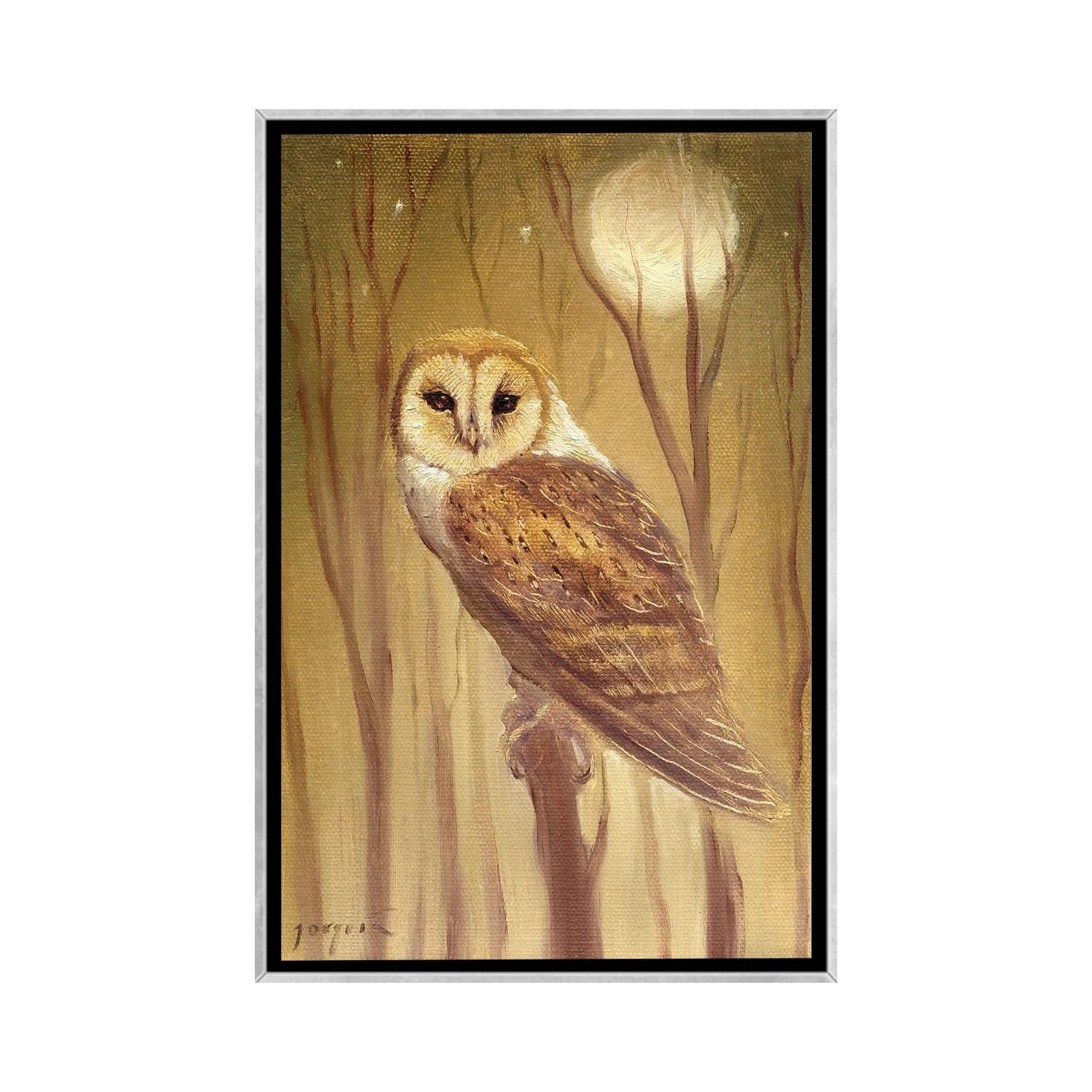 iCanvas "The Owl" by David Joaquin Framed
