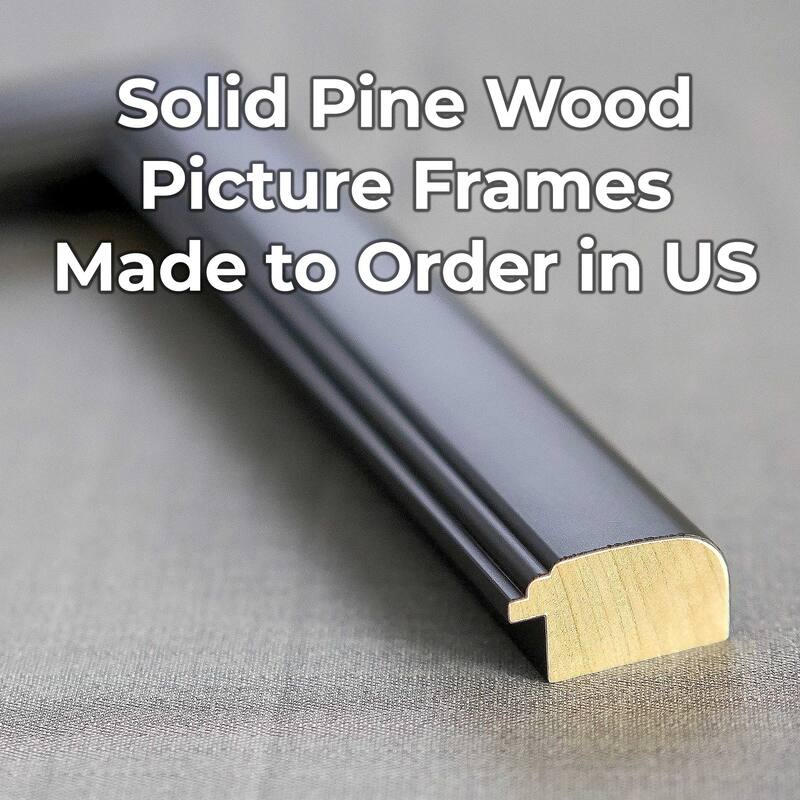 23x33 - 23 x 33 Contemporary Black Solid Wood Frame with UV Framer's