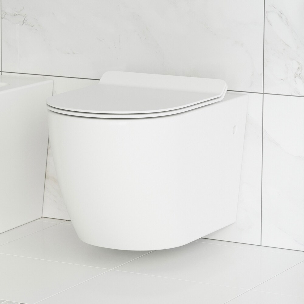 https://ak1.ostkcdn.com/images/products/is/images/direct/bc486119c23cc3593356a96e7a2e22c2fcd6863e/St.-Tropez-Wall-Hung-Toilet-Bowl%2C-White.jpg