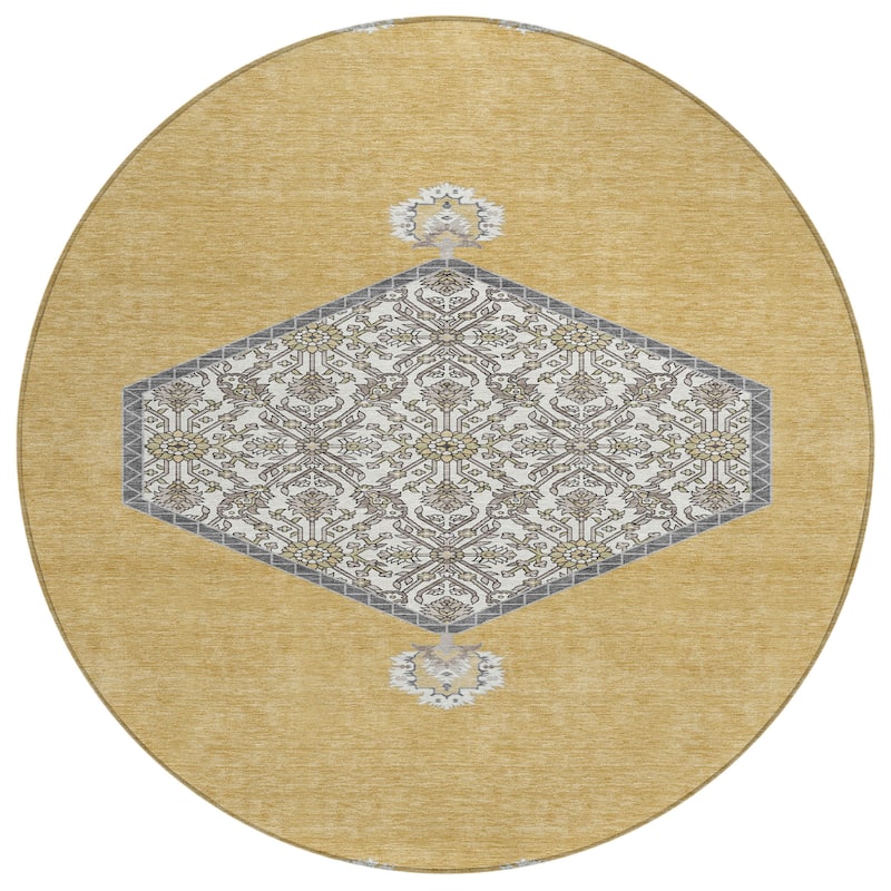 Machine Washable Indoor/ Outdoor Traditional Chantille Rug