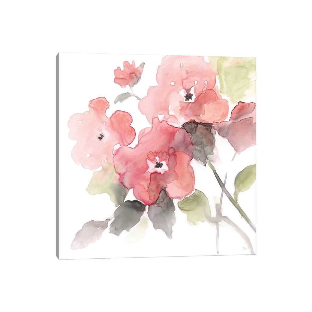 iCanvas "Coral Blush II" by Nan Canvas Print