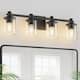 Option Black-4Light