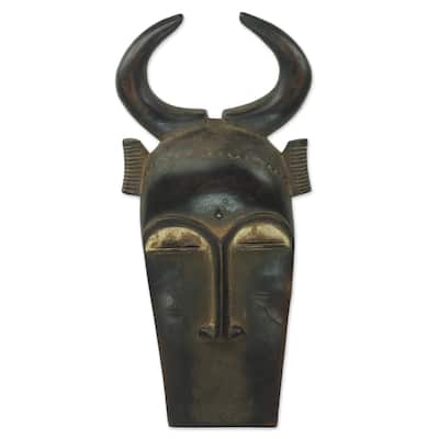 Novica Handmade Bemba Healer African Wood Mask