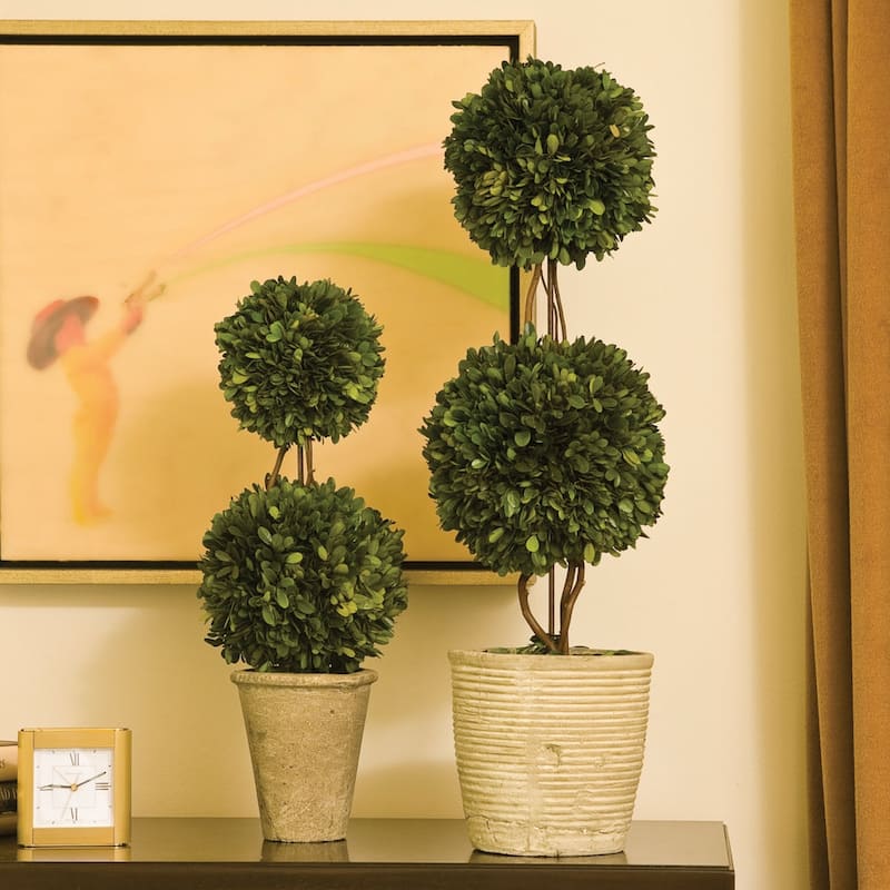 Boxwood Double Sphere Topiary 28" - Green