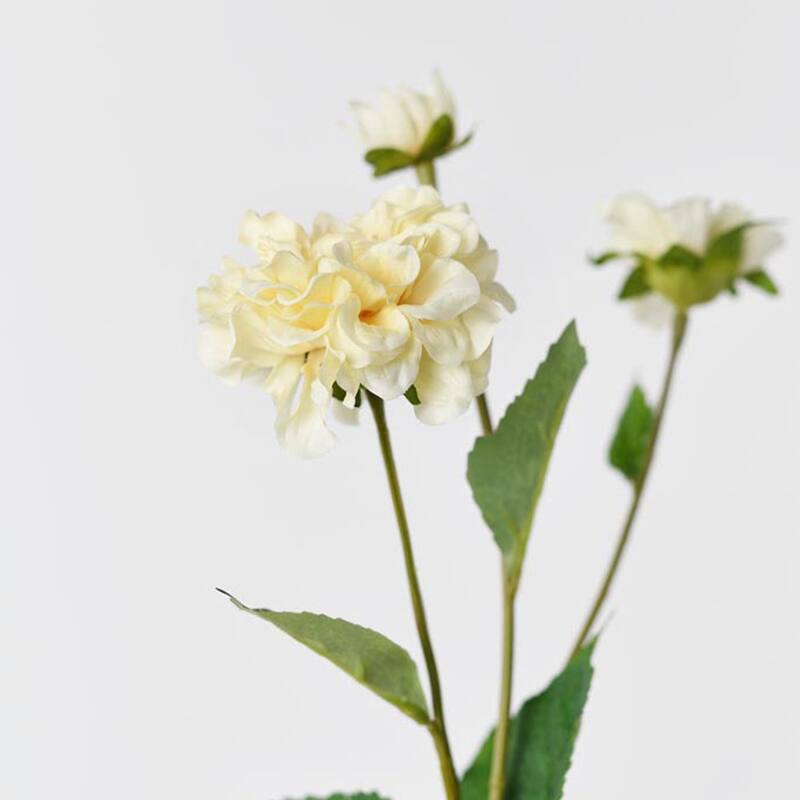 Silk Decorative Artificial Paeonia lactiflora(Pack of 1 Branch)