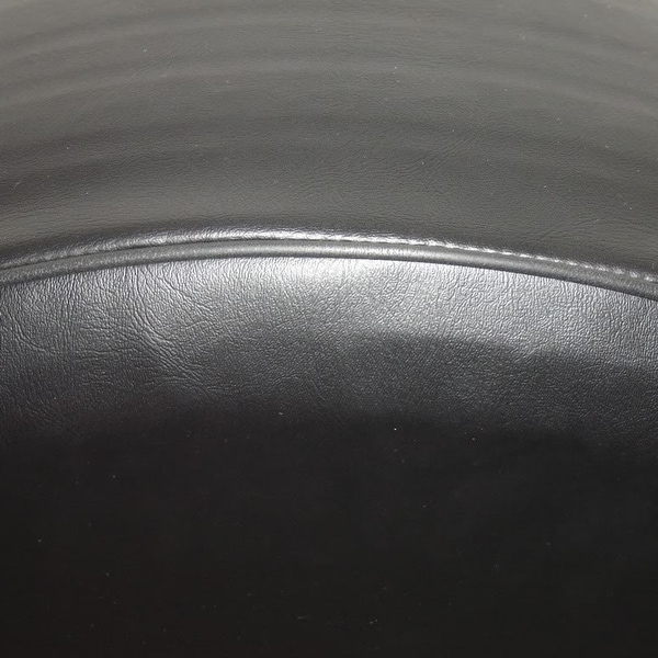 a girl her dog and her jeep tire cover