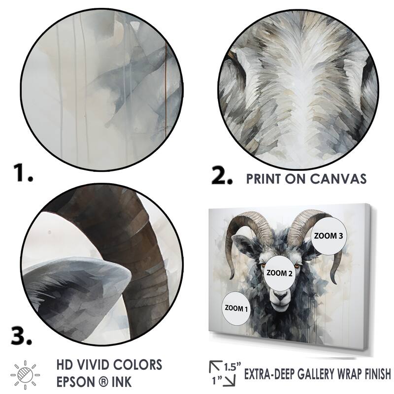Designart "Black And White Ram Supremacy" Goat Animal Wall Art