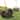 Gymax 24'' Compost Spreader w/ Height-Adjustable T-Shaped Handle for