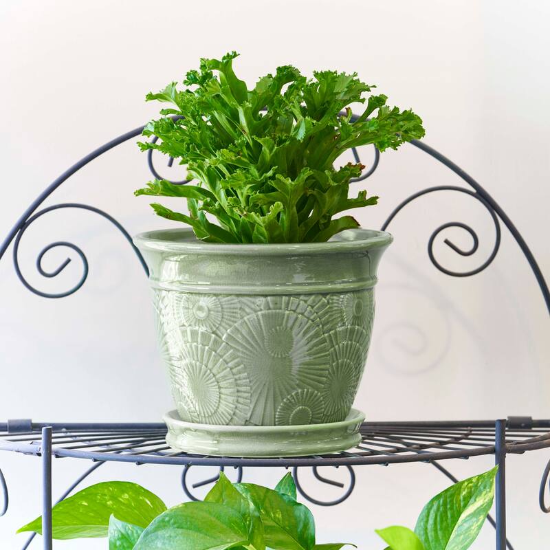 Southern Patio Annandale Celadon Ceramic 6-inch Planter with Built-in Saucer