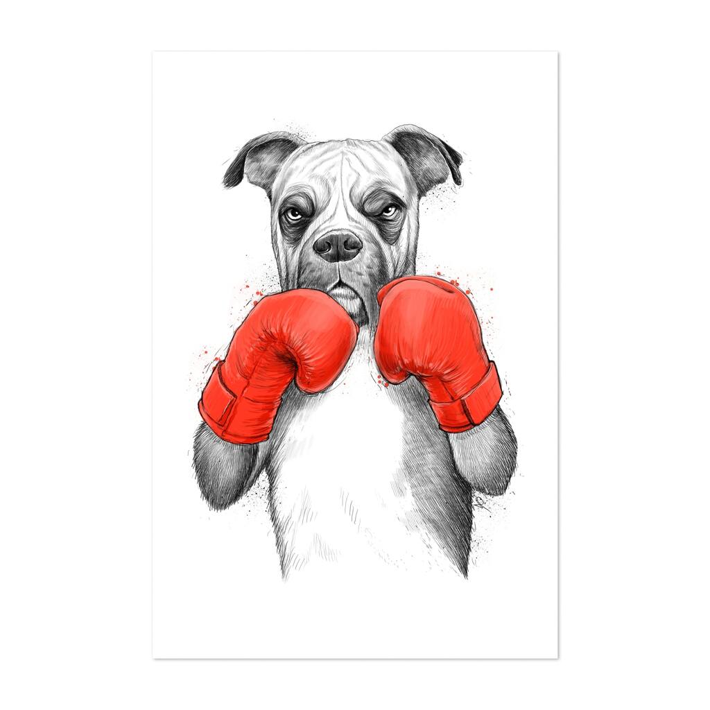 Boxer Illustrations Animals Boxing Dog Dorm Art Love Art Print/Poster