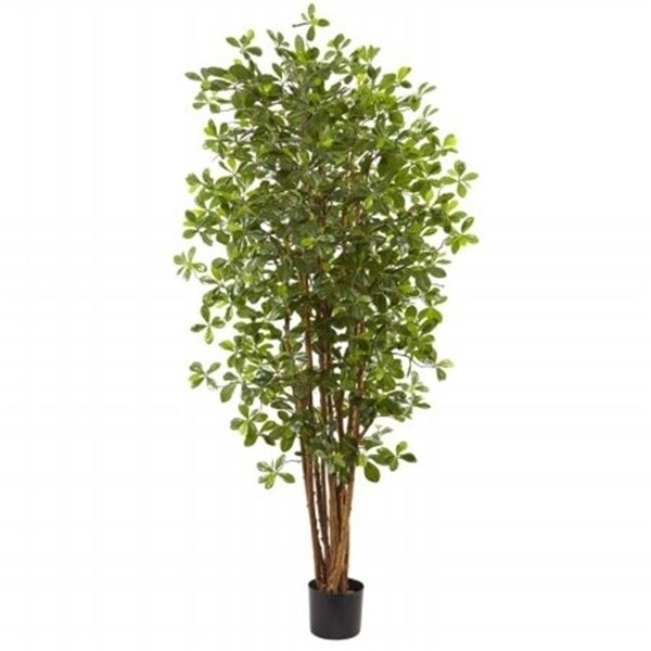 Nearly Natural 5463 6 ft. Black Olive Silk Tree