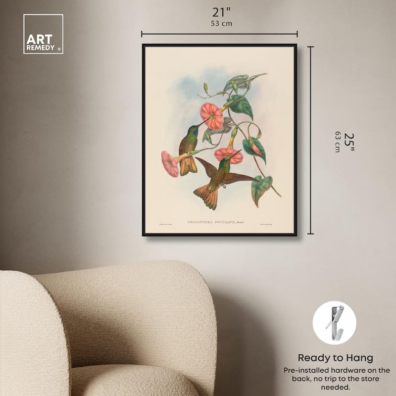 Gould's Hummingbirds Canvas by Art Remedy