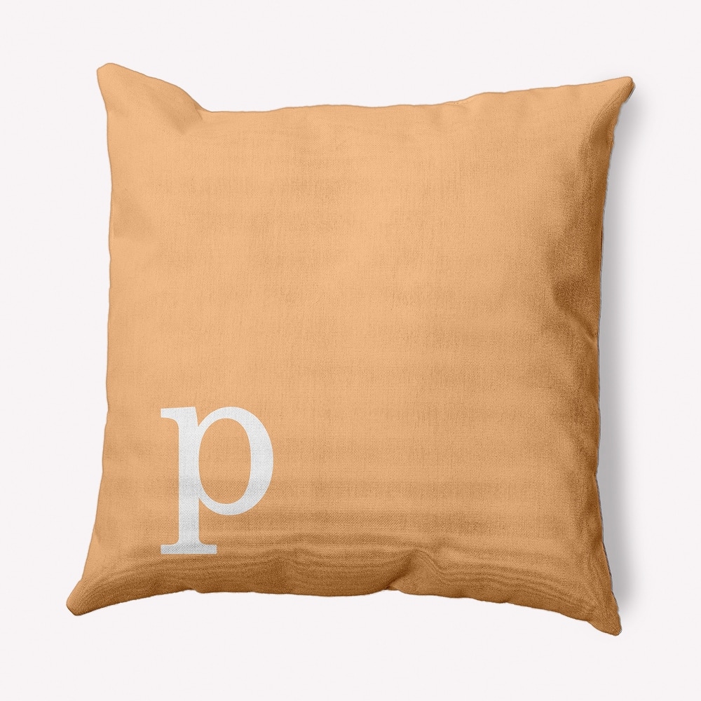 Modern Monogram Indoor/Outdoor Throw Pillow-P