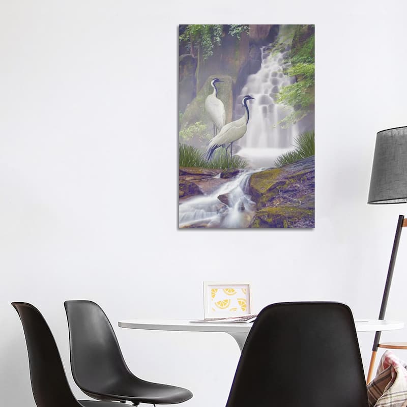 iCanvas "Mistic Crane Falls" by Steve Hunziker Canvas Print - 40x26x1.5