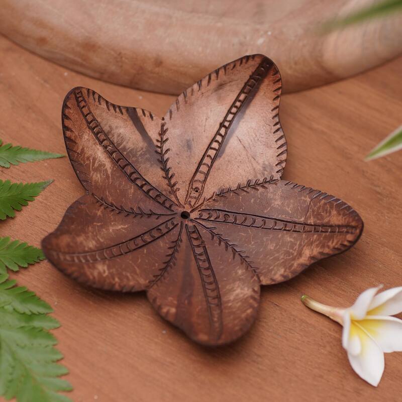 Novica Handmade Robust Rose Coconut Shell Soap Dish - Brown