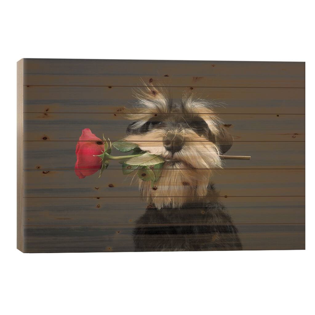 Tango Dancer Print On Wood by Adnan Mahmutovic - Multi-Color