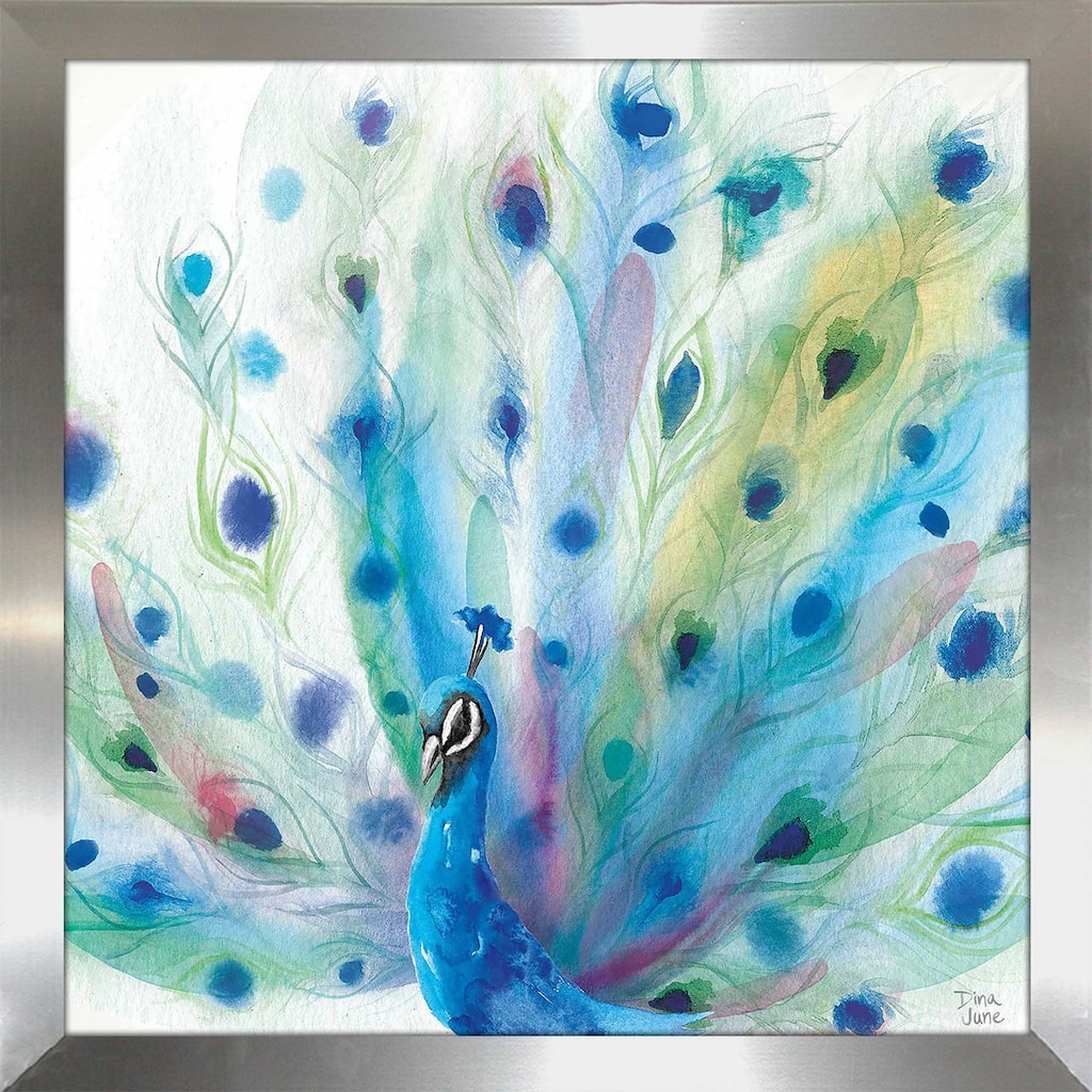 "Peacock Glory V" by Dina June Print on Acrylic.