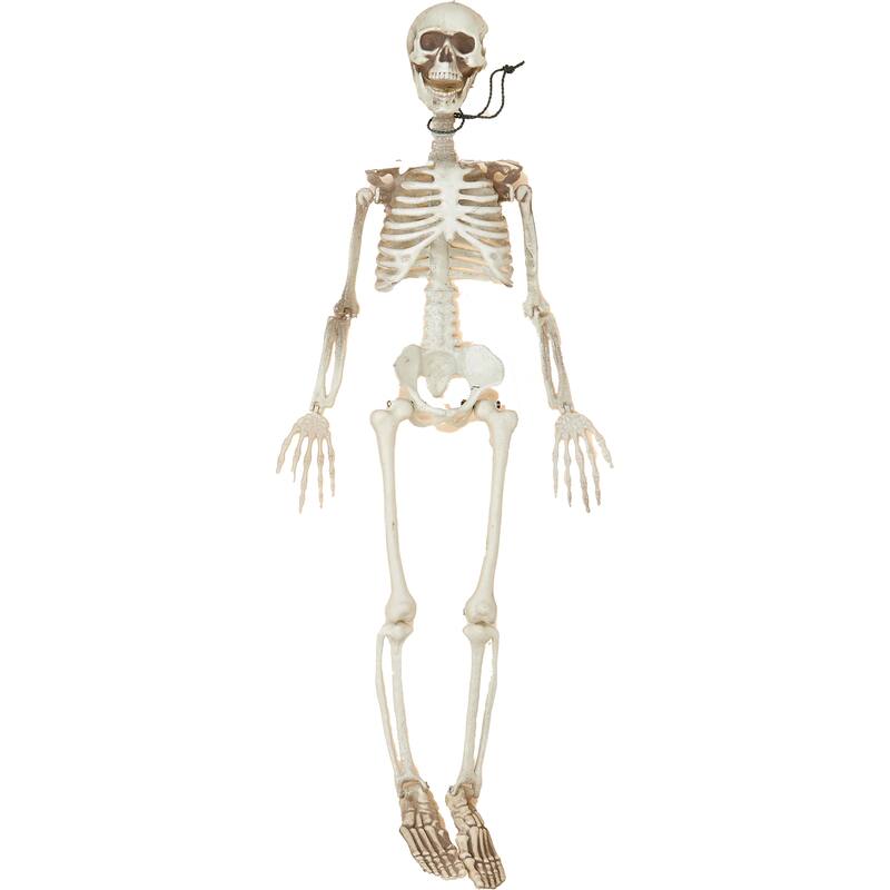 36" Posable Skeleton