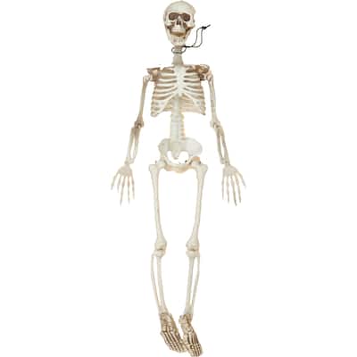 36" Posable Skeleton
