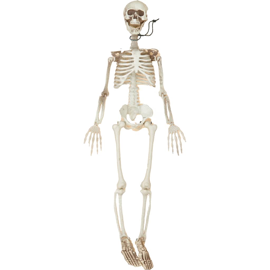 36" Posable Skeleton