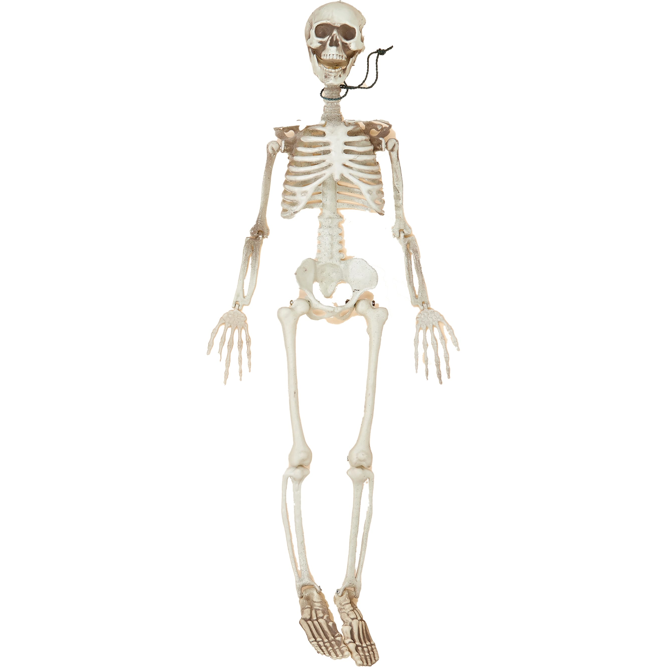 36" Posable Skeleton