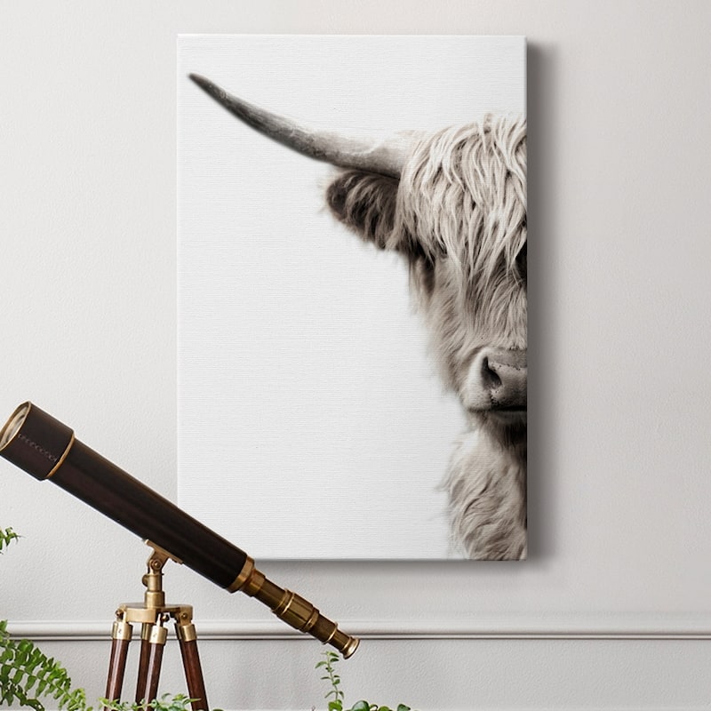 Highland Cattle Premium Gallery Wrapped Canvas - Ready to Hang