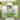 8X6FT-Green Double Door Polycarbonate Greenhouse Raised Base and Anchor Aluminum Heavy Duty Walk-in Greenhouses