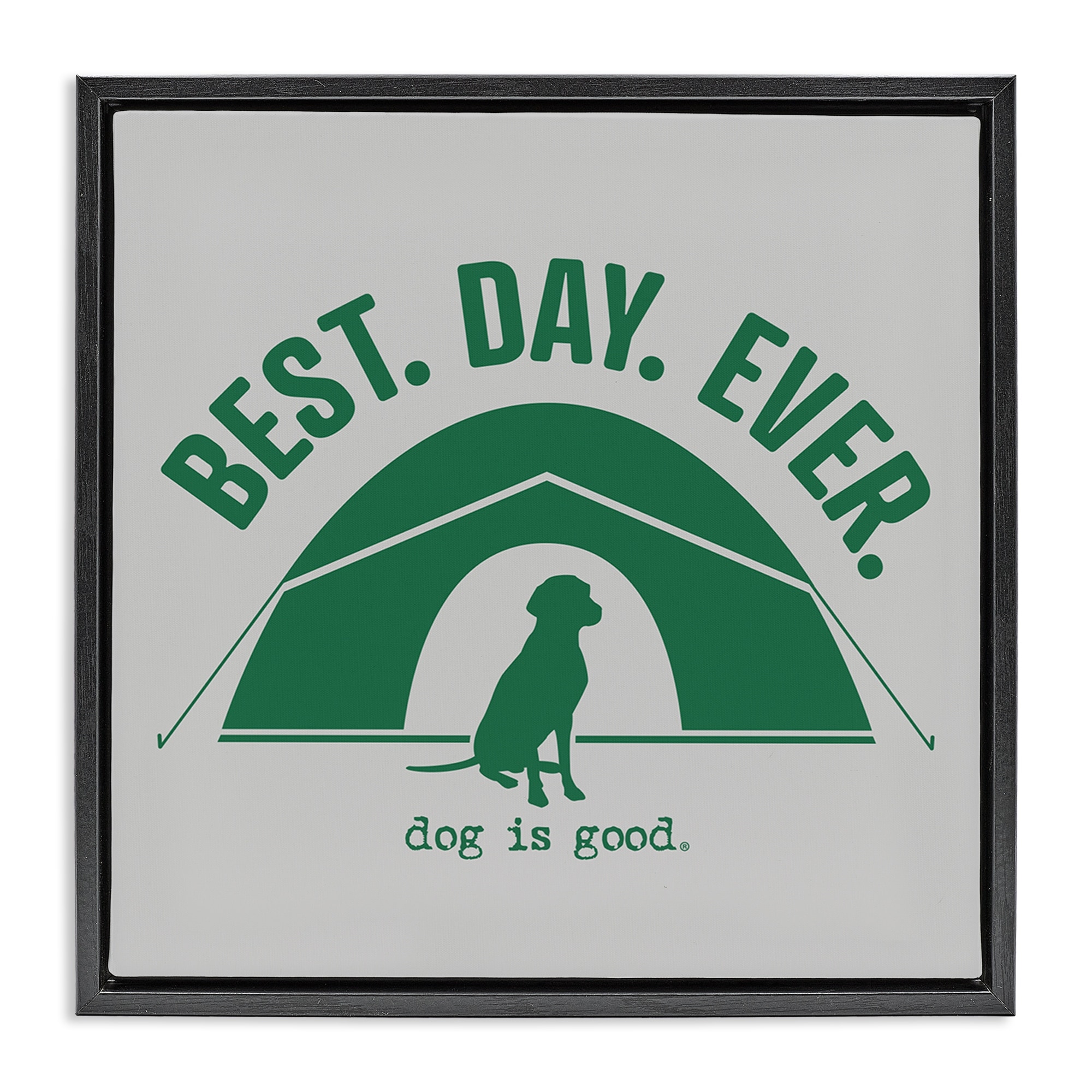 Stupell Best Day Camping Dog Framed Floater Canvas Wall Art Design By Dog Is Good