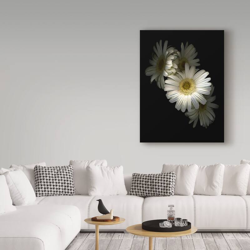 Susan S. Barmon 'White Gerbera Daisy' Canvas Art