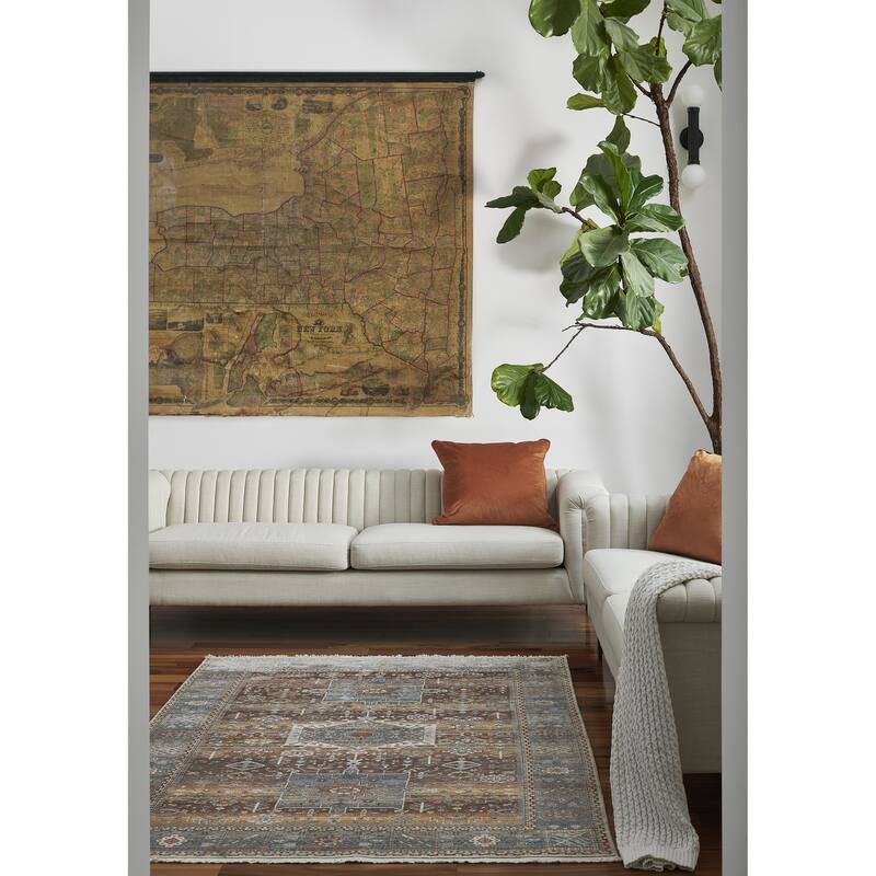 Momeni Izmir Polyester Traditional Area Rug
