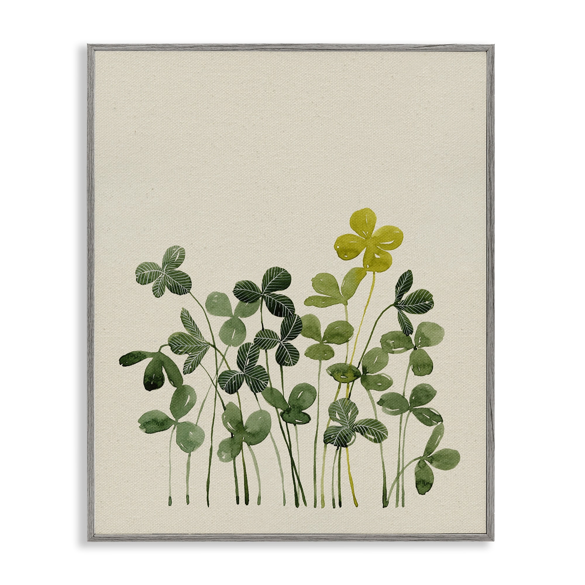Stupell Hidden Gems Botanicals Framed Giclee Art Design By Grace Popp