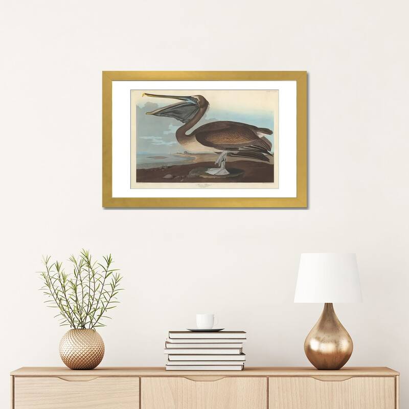 iCanvas "Brown Pelican" by John James Audubon