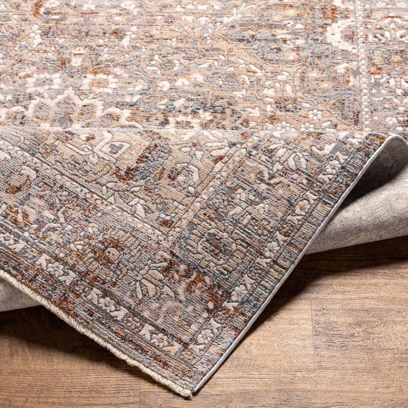 Livabliss Actona Vintage Distressed Area Rug