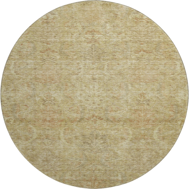 Premium Washable Super Soft Traditional Mayfield Rug