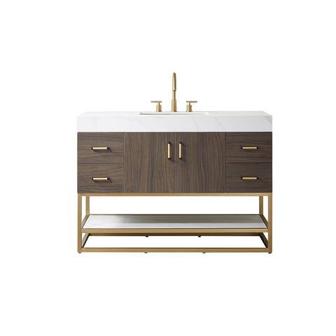 Toledo 48" Single Vanity in Dark Walnut with Stone Sink Top