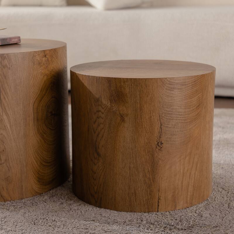 Simple Modern 2 Piece Coffee Table Set