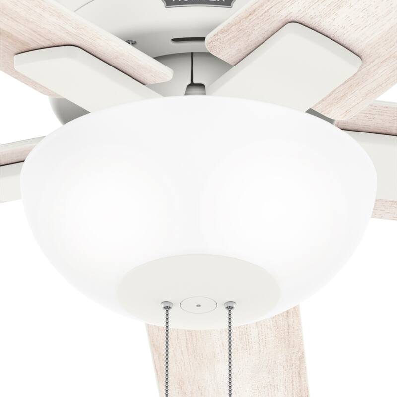 Hunter 44" Fitzgerald Low Profile Ceiling Fan with LED Light Kit and Pull Chain