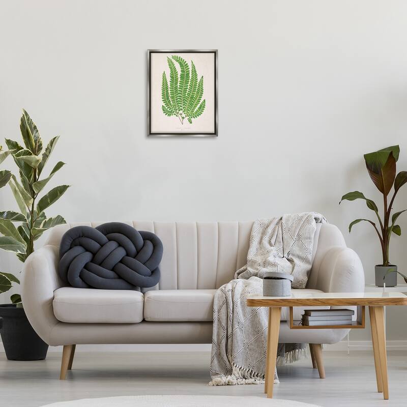 Stupell Cottage Ferns Study Framed Floater Canvas Wall Art Design By Phillipa Katz