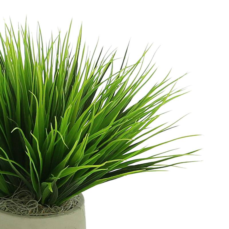 Vanilla Grass Arranged in a Fiberstone Pot - Green