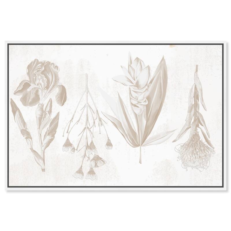 White Pressed Flora Canvas by Art Remedy - White - 54" x 36"