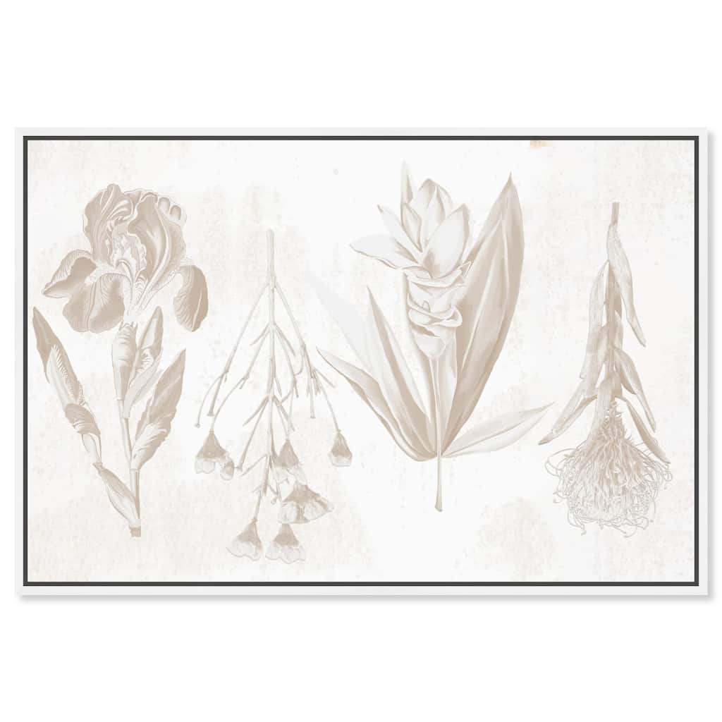 White Pressed Flora Canvas by Art Remedy