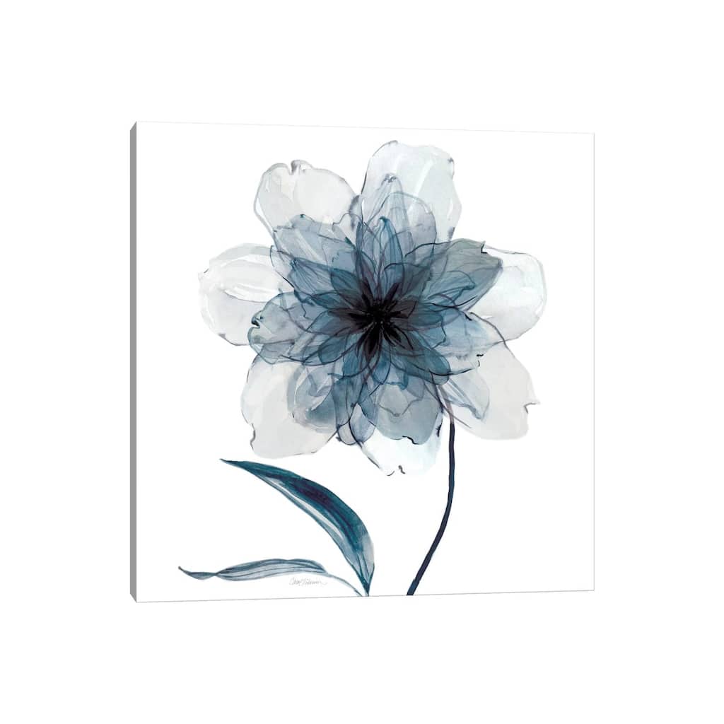 iCanvas "Indigo Bloom II" by Carol Robinson Canvas Print