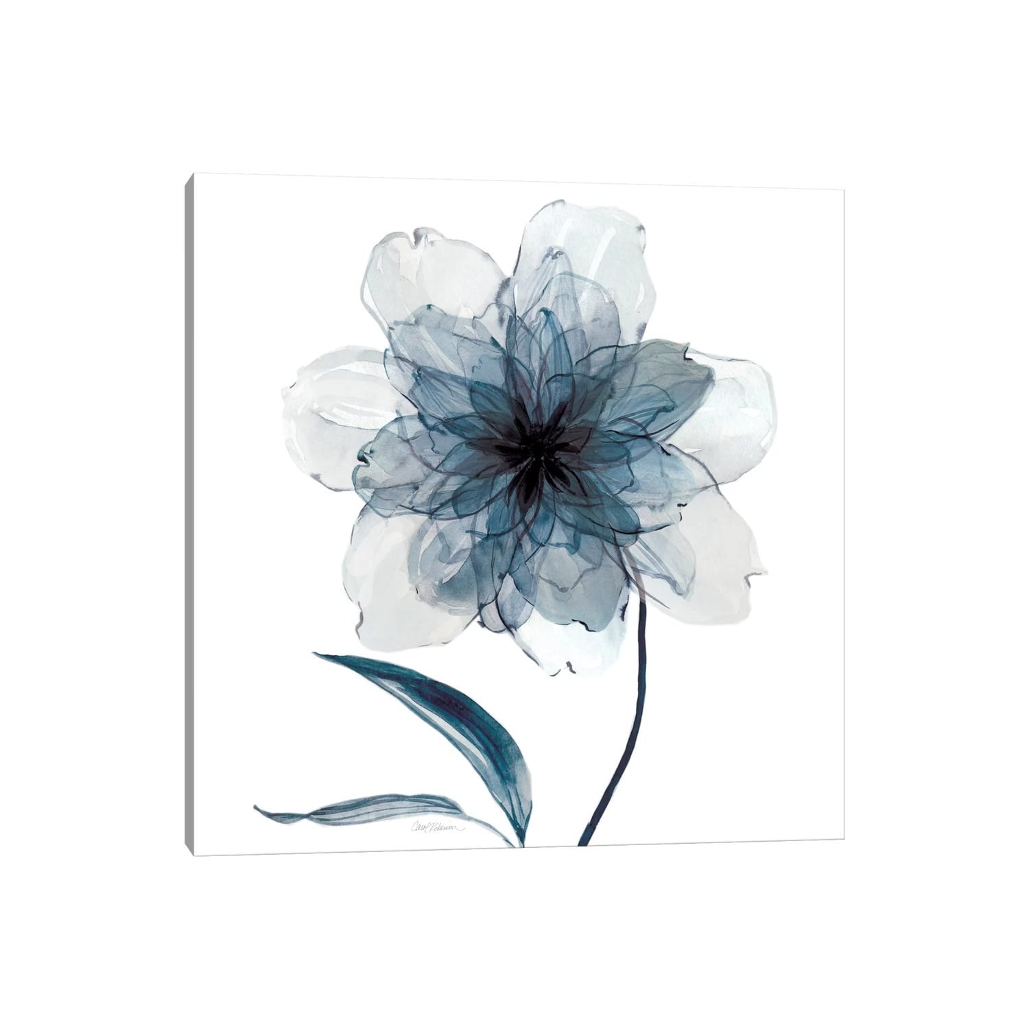 iCanvas "Indigo Bloom II" by Carol Robinson Canvas Print